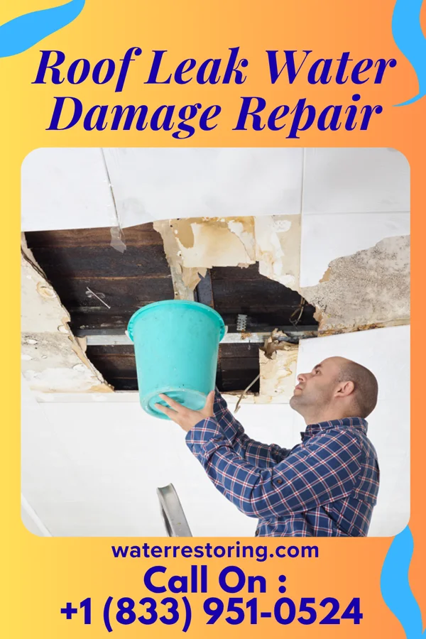 Roof Leak Water Damage Repair in McIntire, IA